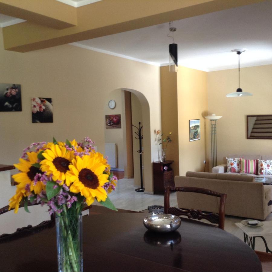Armonia House Potamos Village Luaran gambar